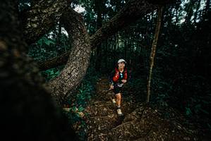 BIB: 
                            <button type="button" onclick="openModal(25699762)" class="btn btn-primary btn-sm float-right btn-popup" data-toggle="modal" data-target=".modal-high-quality">
                        <i class="fas fa-shopping-cart"></i> Add to Cart
                    </button>
                                            <button type="button" onclick="isThisMe(25699762, true)" class="btn btn-success btn-sm float-right btn-popup btn-isme hidden" data-toggle="tooltip" data-placement="bottom" title="นี่คือรูปของคุณใช่ไหม คลิกที่นี่เพื่อเอาเข้าอัลบั้ม">
                        <i class="fas fa-plus"></i> Add to album
                    </button>
                    <button type="button" onclick="isThisMe(25699762, false)" class="btn btn-warning btn-sm float-right btn-popup btn-isnotme hidden">
                        <i class="fas fa-ban"></i> Remove from album
                    </button>